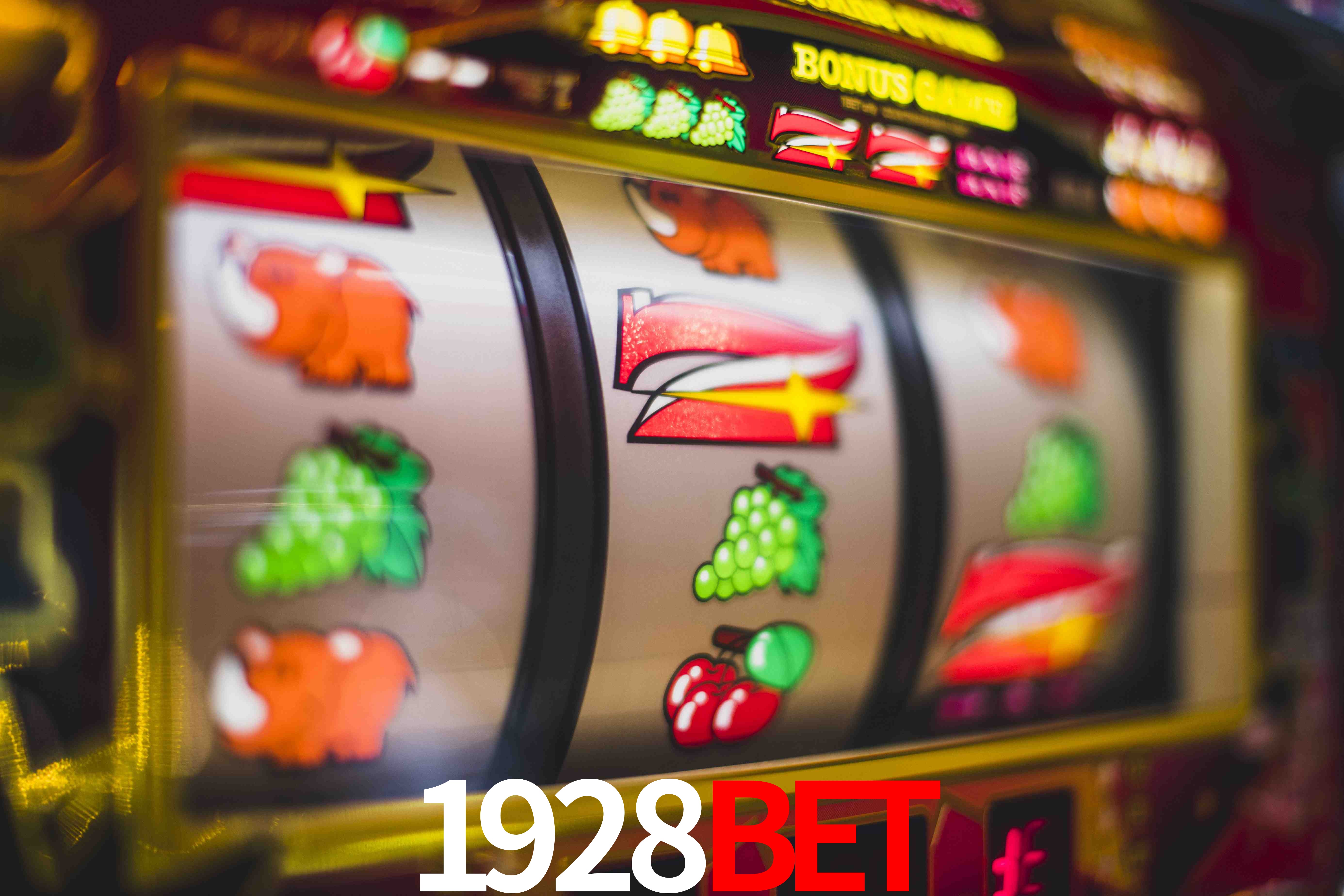 Crash Games Statistics 1928bet